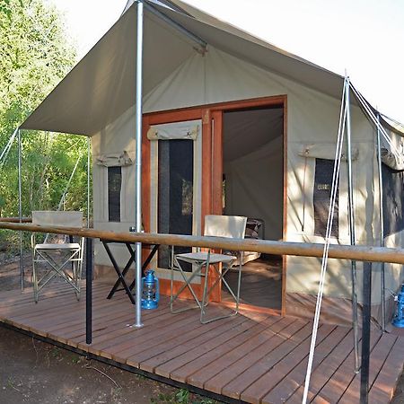 The Wild Olive Tree Camp Hotell Welverdiend  Rom bilde