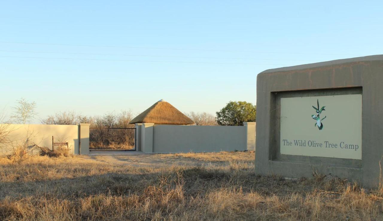 The Wild Olive Tree Camp Hotell Welverdiend  Eksteriør bilde