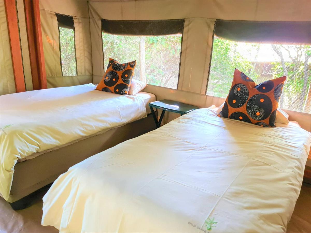 The Wild Olive Tree Camp Hotell Welverdiend  Eksteriør bilde