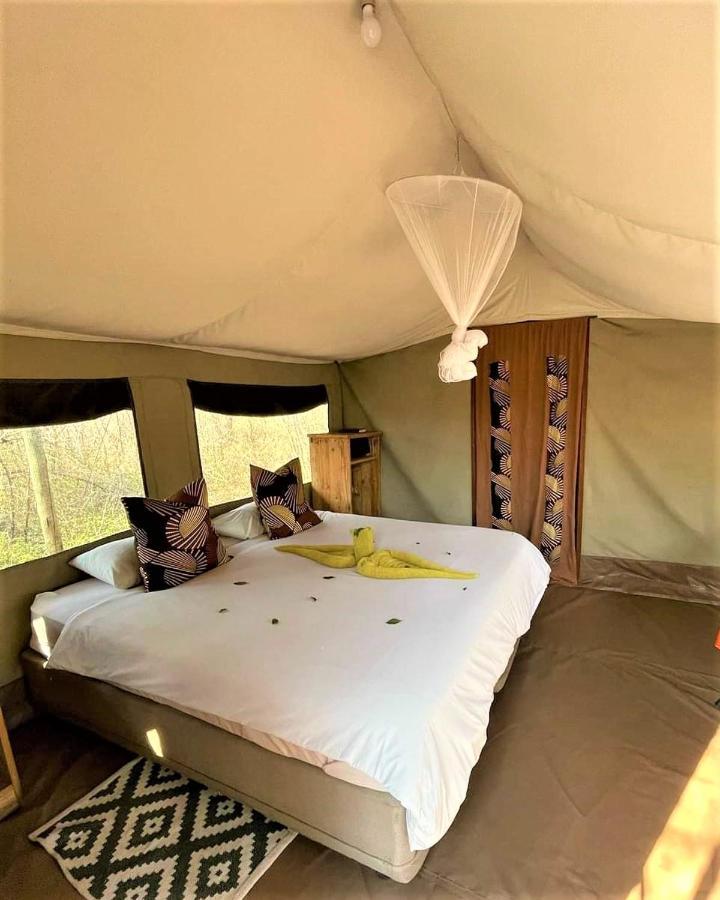 The Wild Olive Tree Camp Hotell Welverdiend  Eksteriør bilde