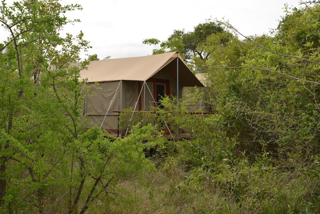 The Wild Olive Tree Camp Hotell Welverdiend  Eksteriør bilde